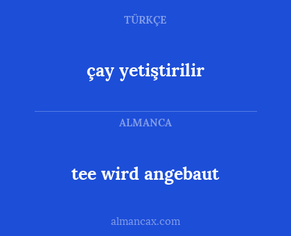 çay yetiştirilir - tee wird angebaut