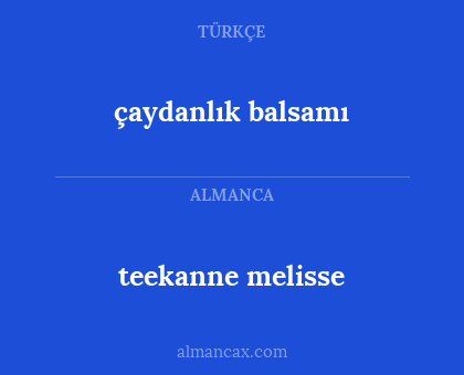 çaydanlık balsamı - teekanne melisse