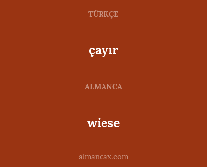 çayır - wiese