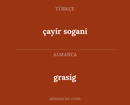 grasig - çayir sogani