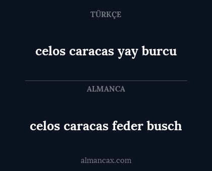 celos caracas feder busch - celos caracas yay burcu