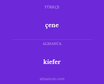 çene - kiefer