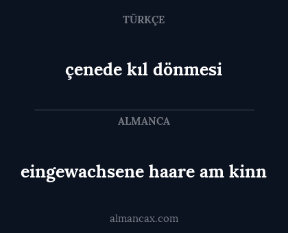 çenede kıl dönmesi - eingewachsene haare am kinn