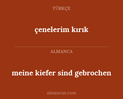 meine kiefer sind gebrochen - çenelerim kırık