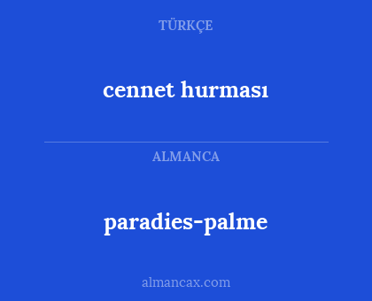 cennet hurması - paradies-palme