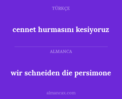 wir schneiden die persimone - cennet hurmasını kesiyoruz