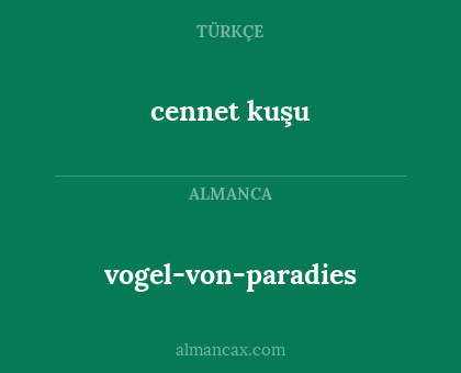 cennet kuşu - vogel-von-paradies