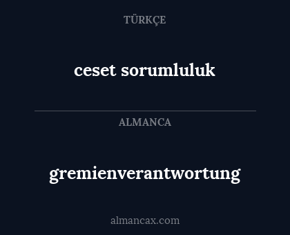 ceset sorumluluk - gremienverantwortung