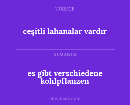 ceşitli lahanalar vardır - es gibt verschiedene kohlpflanzen