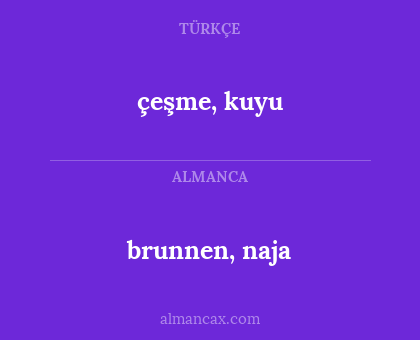 çeşme, kuyu - brunnen, naja