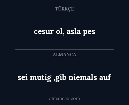 cesur ol, asla pes - sei mutig ,gib niemals auf