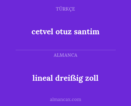 cetvel otuz santim - lineal dreißig zoll
