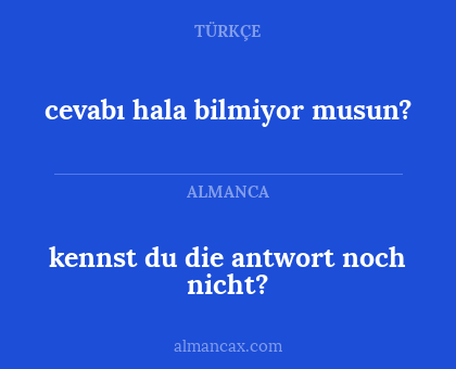 cevabı hala bilmiyor musun? - kennst du die antwort noch nicht?