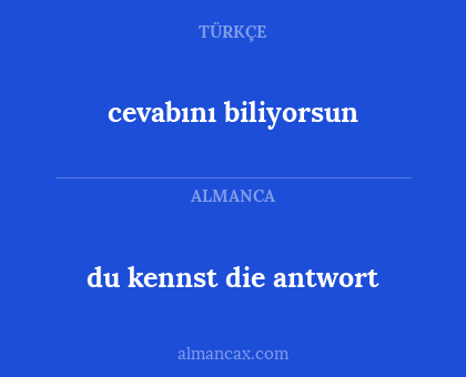 du kennst die antwort - cevabını biliyorsun