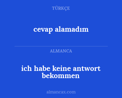 ich habe keine antwort bekommen - cevap alamadım