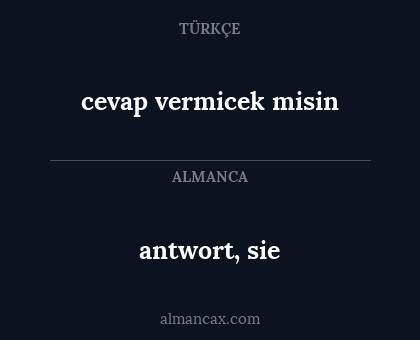 antwort, sie - cevap vermicek misin