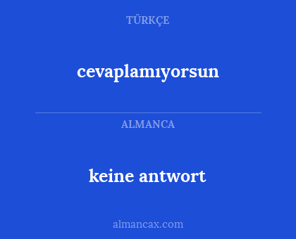 keine antwort - cevaplamıyorsun