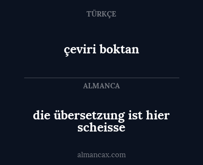 die übersetzung ist hier scheisse - çeviri boktan