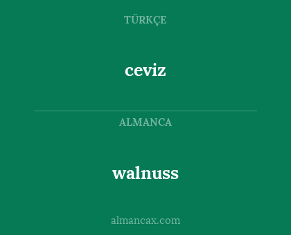 ceviz - walnuss