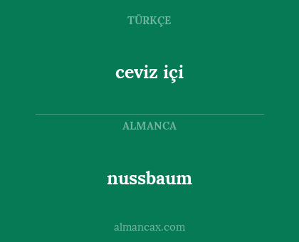 nussbaum - ceviz içi