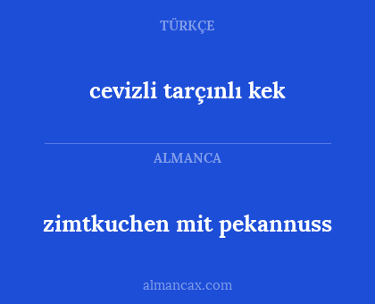 cevizli tarçınlı kek - zimtkuchen mit pekannuss