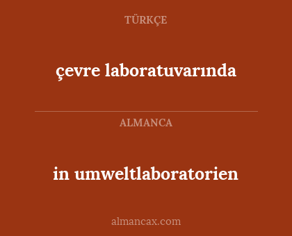 çevre laboratuvarında - in umweltlaboratorien