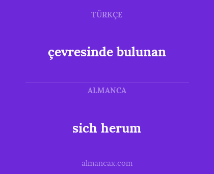 sich herum - çevresinde bulunan