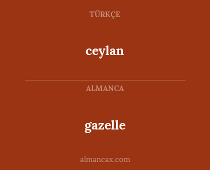 ceylan - gazelle