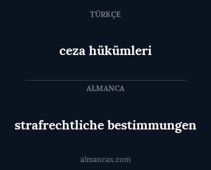 strafrechtliche bestimmungen - ceza hükümleri