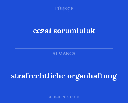 cezai sorumluluk - strafrechtliche organhaftung