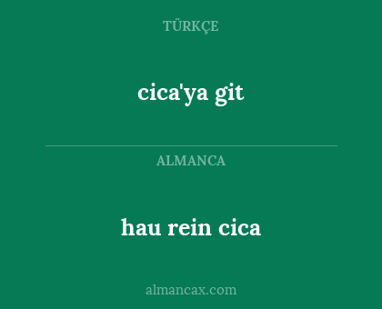 cica'ya git - hau rein cica