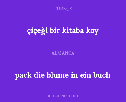 pack die blume in ein buch - çiçeği bir kitaba koy