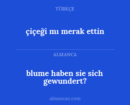 çiçeği mı merak ettin - blume haben sie sich gewundert?
