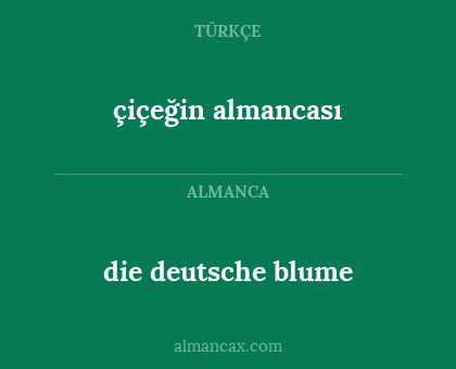 çiçeğin almancası - die deutsche blume