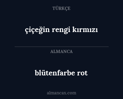 blütenfarbe rot - çiçeğin rengi kırmızı
