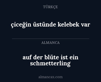 auf der blüte ist ein schmetterling - çiceğin üstünde kelebek var