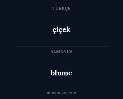 blume - çiçek