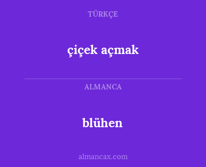 çiçek açmak - blühen
