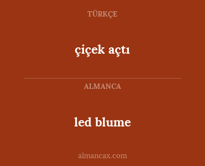 çiçek açtı - led blume