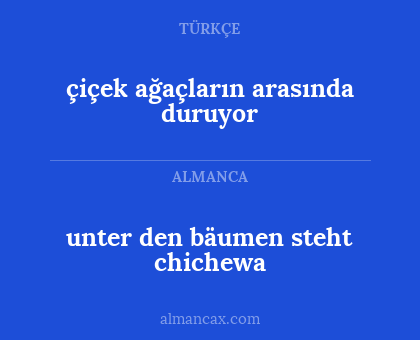 unter den bäumen steht chichewa - çiçek ağaçların arasında duruyor