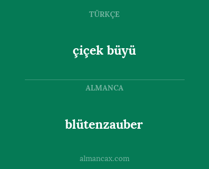 çiçek büyü - blütenzauber