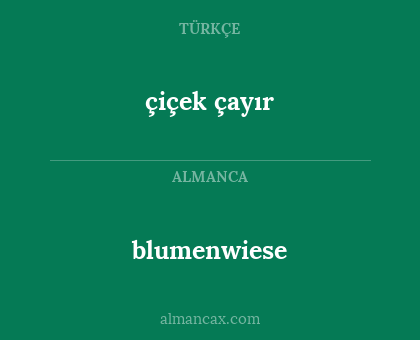blumenwiese - çiçek çayır