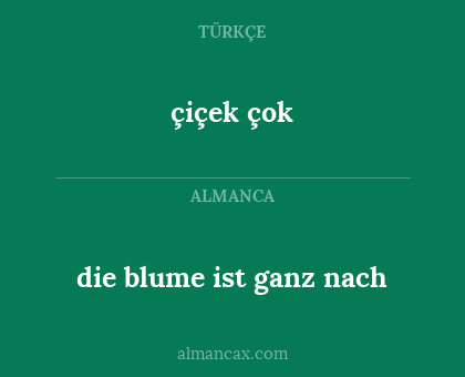 çiçek çok - die blume ist ganz nach