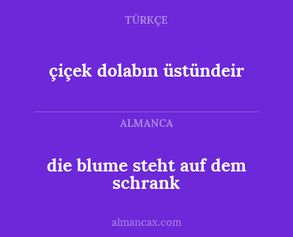 çiçek dolabın üstündeir - die blume steht auf dem schrank