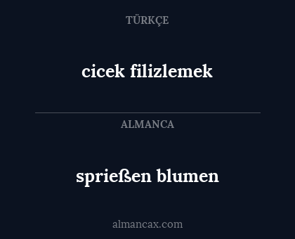 sprießen blumen - cicek filizlemek