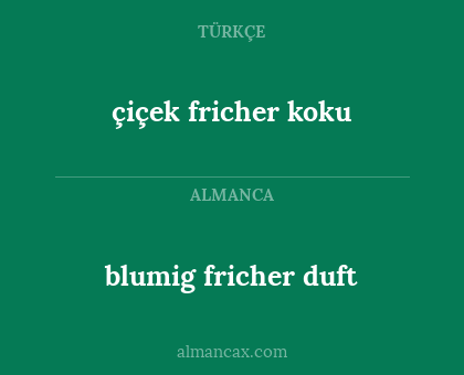 çiçek fricher koku - blumig fricher duft