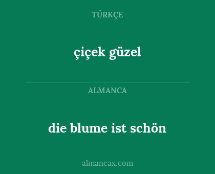 çiçek güzel - die blume ist schön