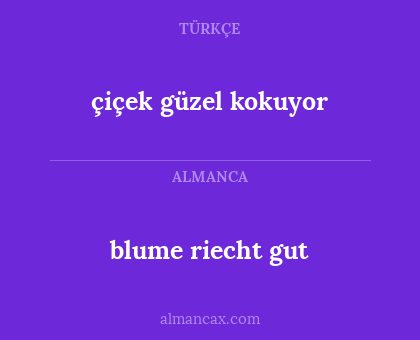 blume riecht gut - çiçek güzel kokuyor