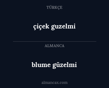 çiçek guzelmi - blume güzelmi