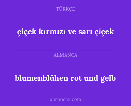 çiçek kırmızı ve sarı çiçek - blumenblühen rot und gelb